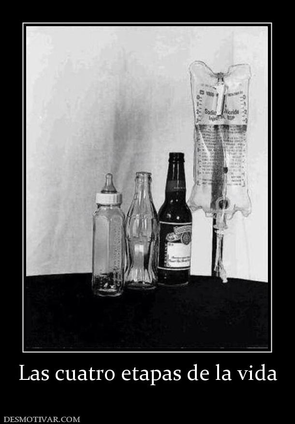 Las cuatro etapas de la vida