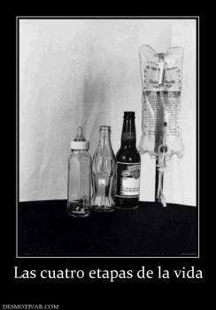 Las cuatro etapas de la vida