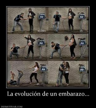 La evolución de un embarazo...