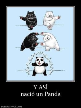 Y ASÍ nació un Panda