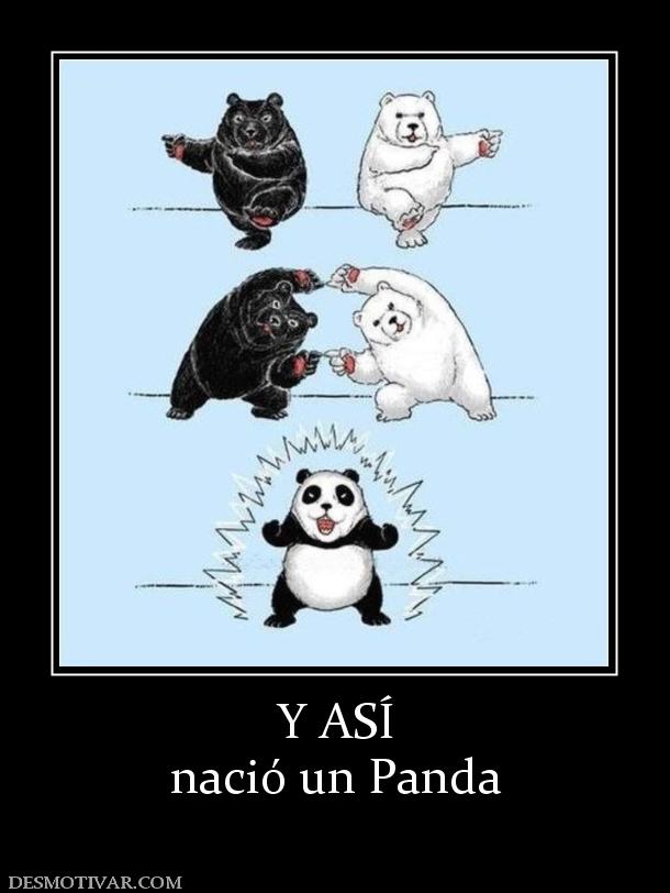 Y ASÍ nació un Panda