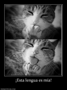 ¡Esta lengua es mía!