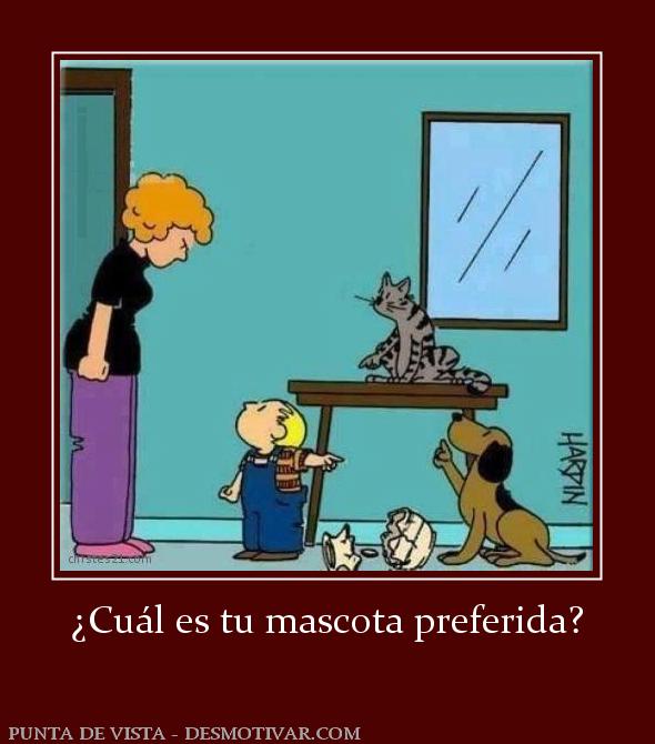 ¿Cuál es tu mascota preferida?