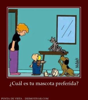 ¿Cuál es tu mascota preferida?