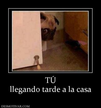 TÚ llegando tarde a la casa