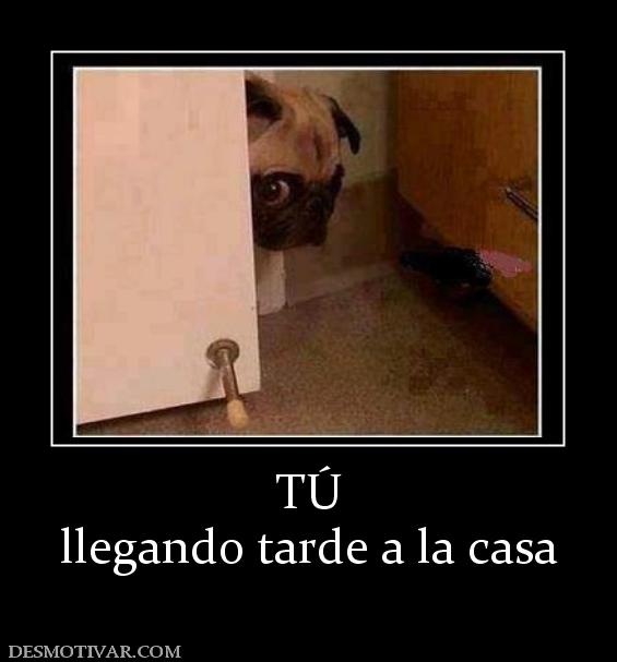 TÚ llegando tarde a la casa
