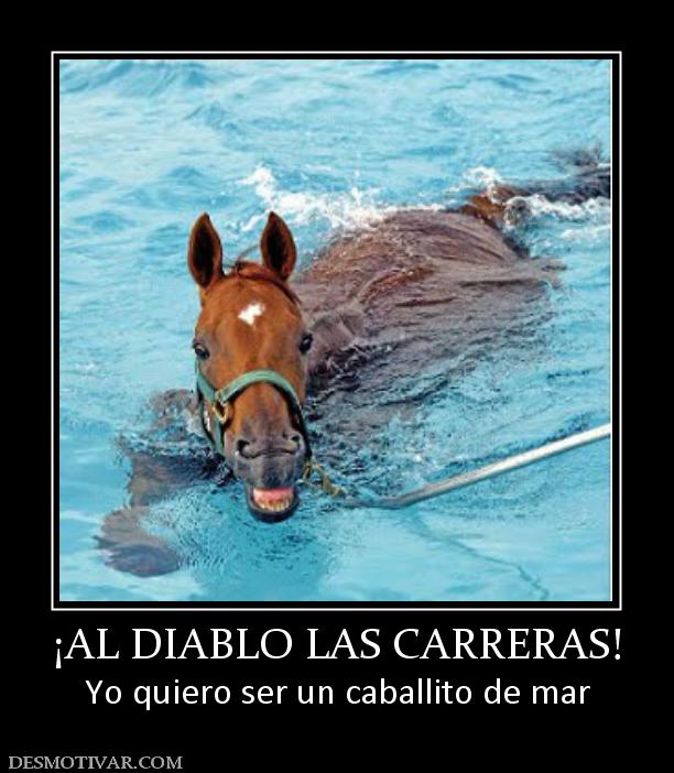 ¡AL DIABLO LAS CARRERAS! Yo quiero ser un caballito de mar