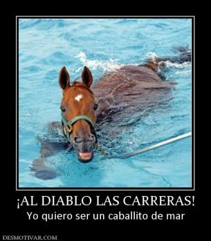 ¡AL DIABLO LAS CARRERAS! Yo quiero ser un caballito de mar