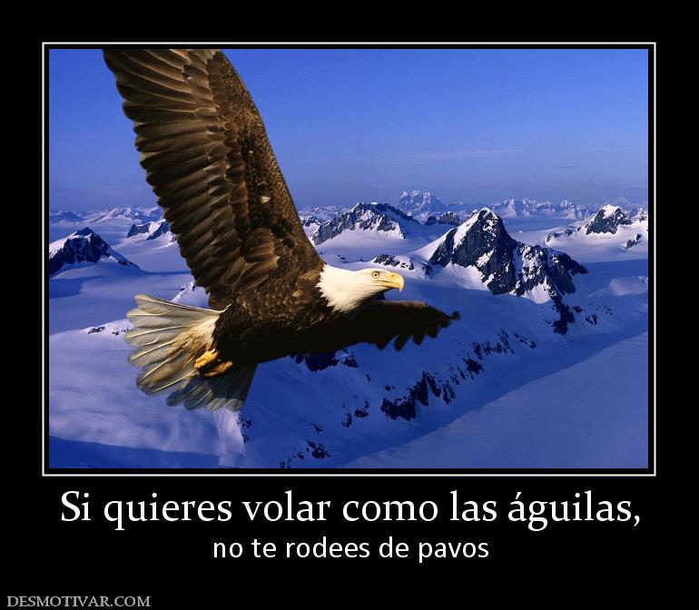 Si quieres volar como las águilas, no te rodees de pavos