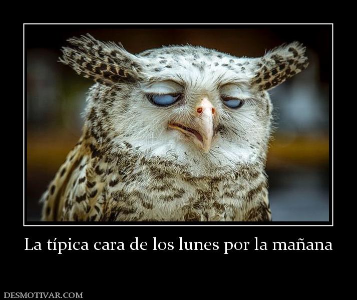 La típica cara de los lunes por la mañ