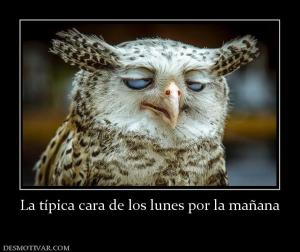 La típica cara de los lunes por la mañ