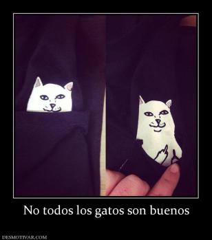 No todos los gatos son buenos