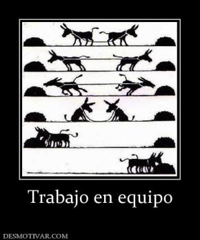 Trabajo en equipo