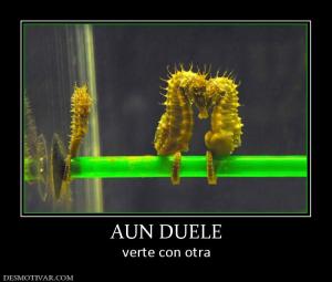 AUN DUELE verte con otra