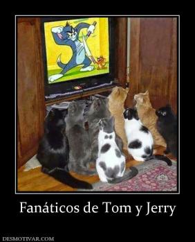 Fanáticos de Tom y Jerry