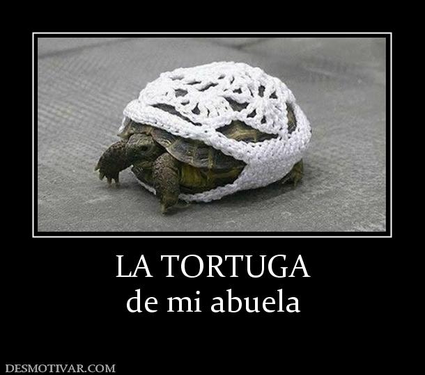 LA TORTUGA de mi abuela