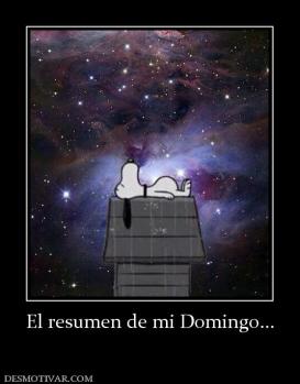 El resumen de mi Domingo...