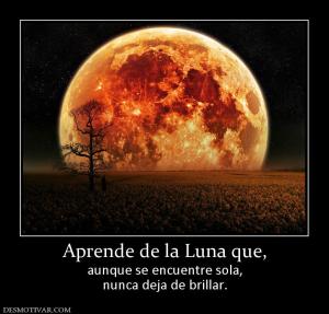 Aprende de la Luna que, aunque se encuentre sola, nunca deja de brillar.
