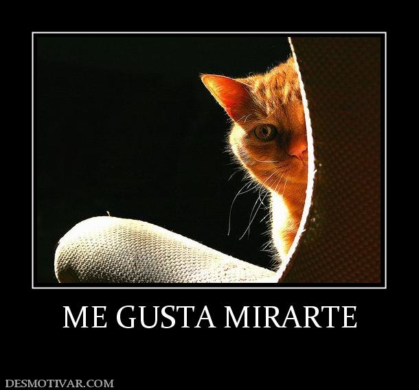 ME GUSTA MIRARTE