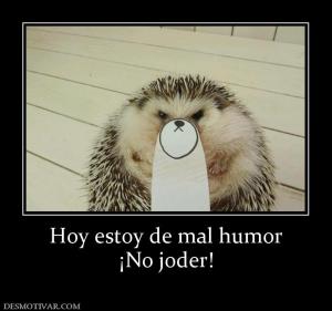 Hoy estoy de mal humor ¡No joder!