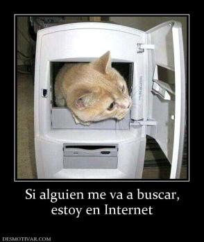 Si alguien me va a buscar, estoy en Internet