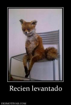 Recien levantado