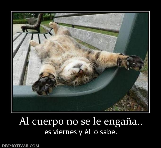 Al cuerpo no se le engaña.. es viernes y él lo sabe.