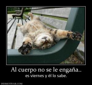Al cuerpo no se le engaña.. es viernes y él lo sabe.
