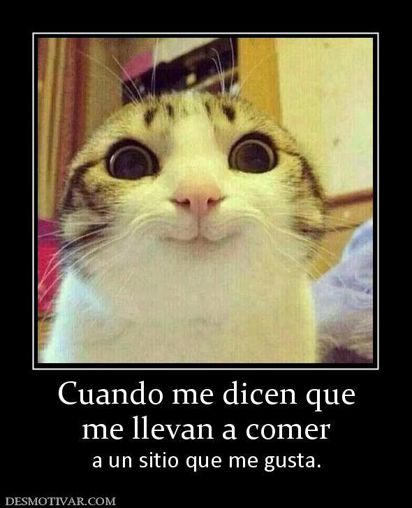 Cuando me dicen que me llevan a comer  a un sitio que me gusta.