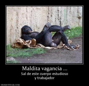 Maldita vagancia ... Sal de este cuerpo estudioso y trabajador
