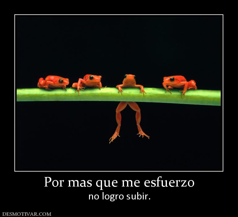 Por mas que me esfuerzo no logro subir.