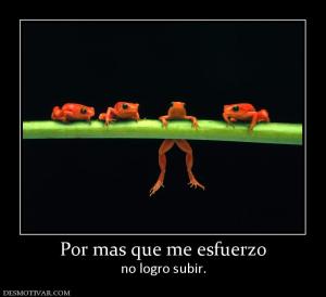 Por mas que me esfuerzo no logro subir.