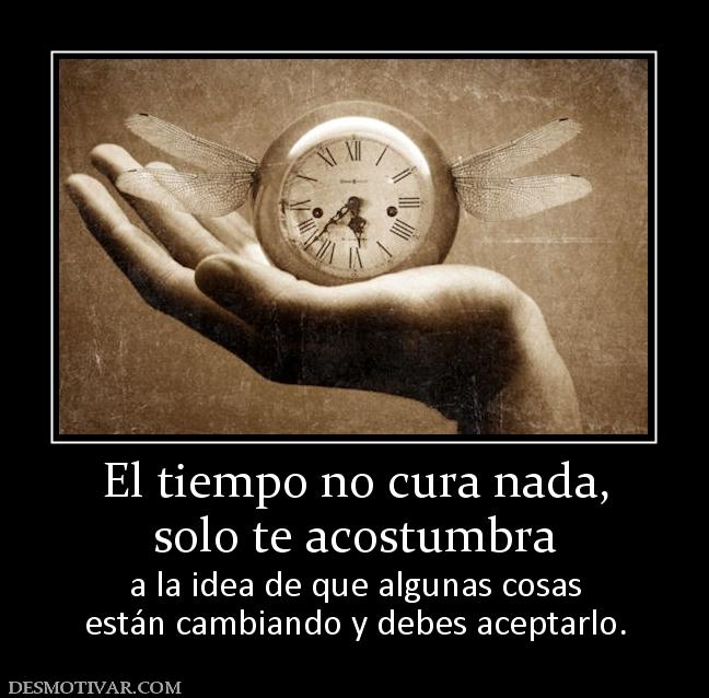 El tiempo no cura nada, solo te acostumbra a la idea de que algunas cosas están cambiando y debes aceptarlo.