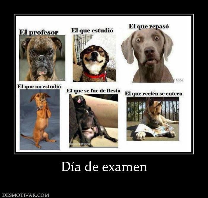 Día de examen