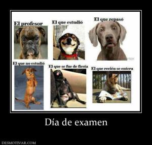 Día de examen