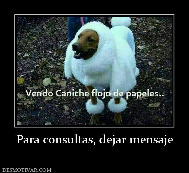 Para consultas, dejar mensaje