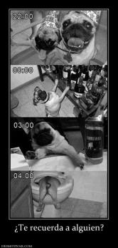 ¿Te recuerda a alguien?