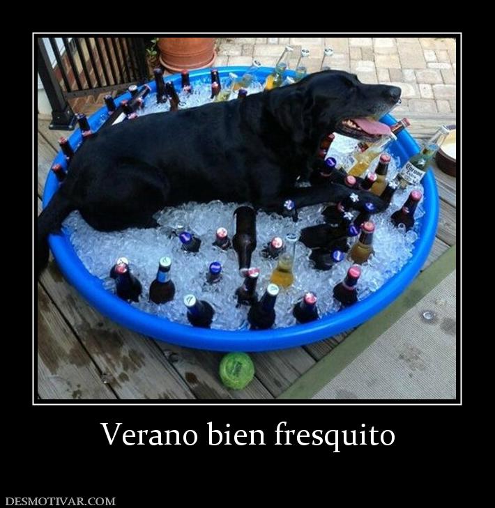 Verano bien fresquito