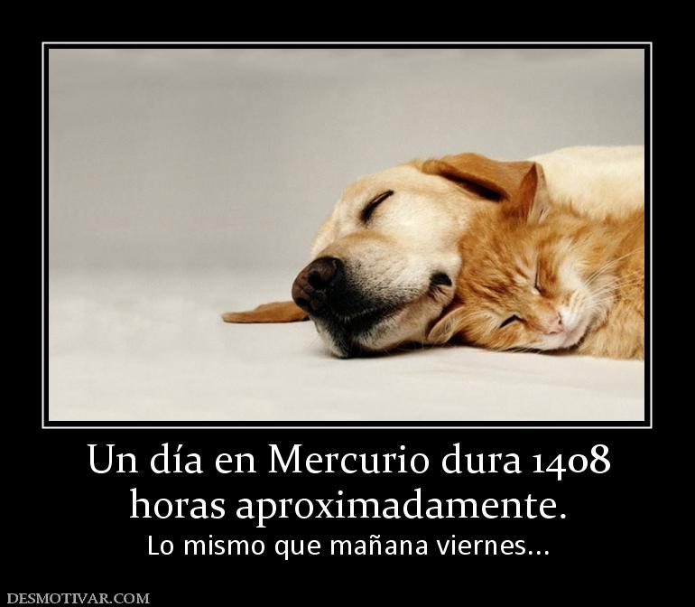 Un día en Mercurio dura 1408 horas aproximadamente.  Lo mismo que mañana viernes...