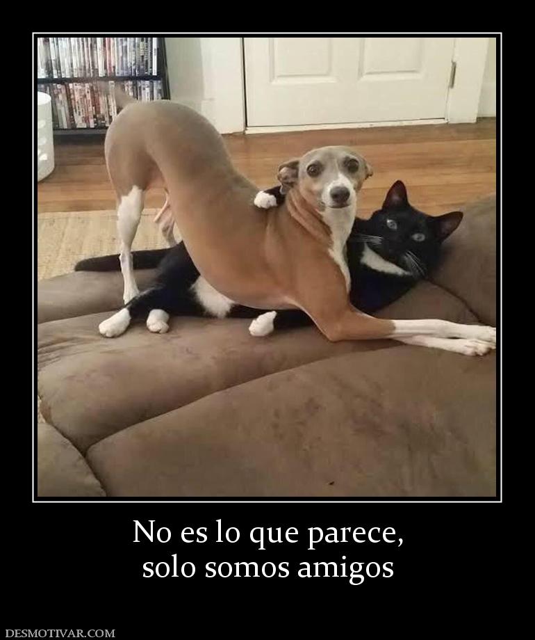 No es lo que parece, solo somos amigos