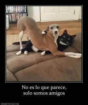 No es lo que parece, solo somos amigos