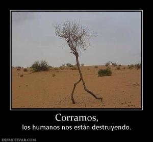 Corramos, los humanos nos están destruyendo.