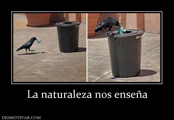 La naturaleza nos enseña