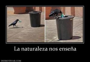 La naturaleza nos enseña