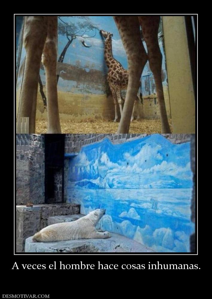 A veces el hombre hace cosas inhumanas