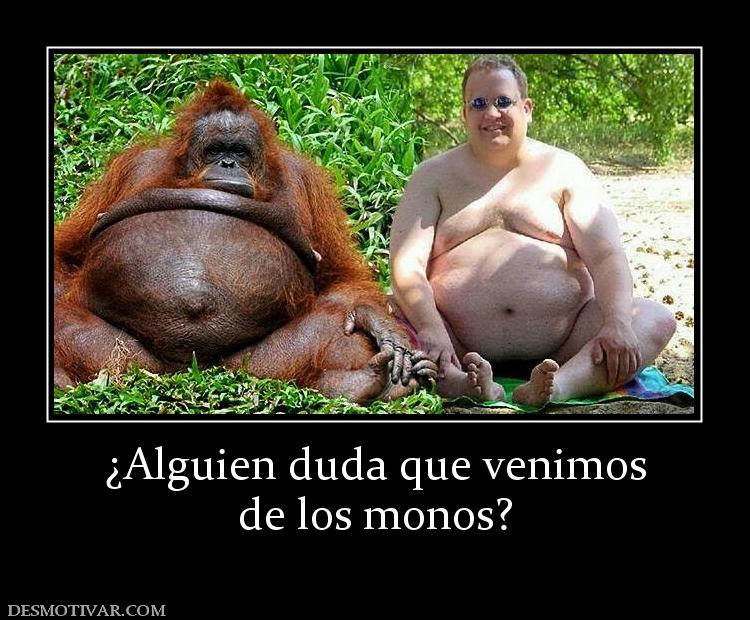 ¿Alguien duda que venimos de los monos?