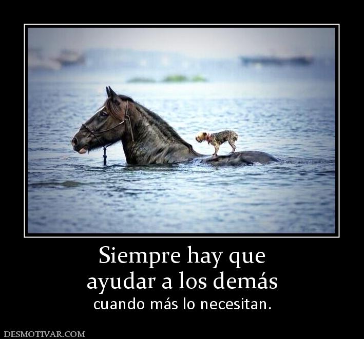 Siempre hay que ayudar a los demás  cuando más lo necesitan.