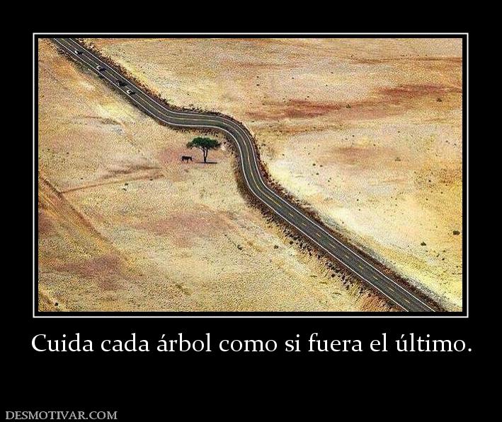 Cuida cada árbol como si fuera el últi