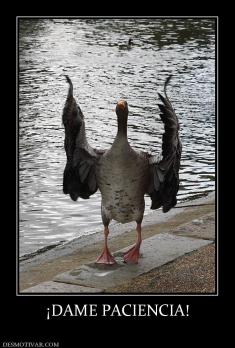 ¡DAME PACIENCIA!