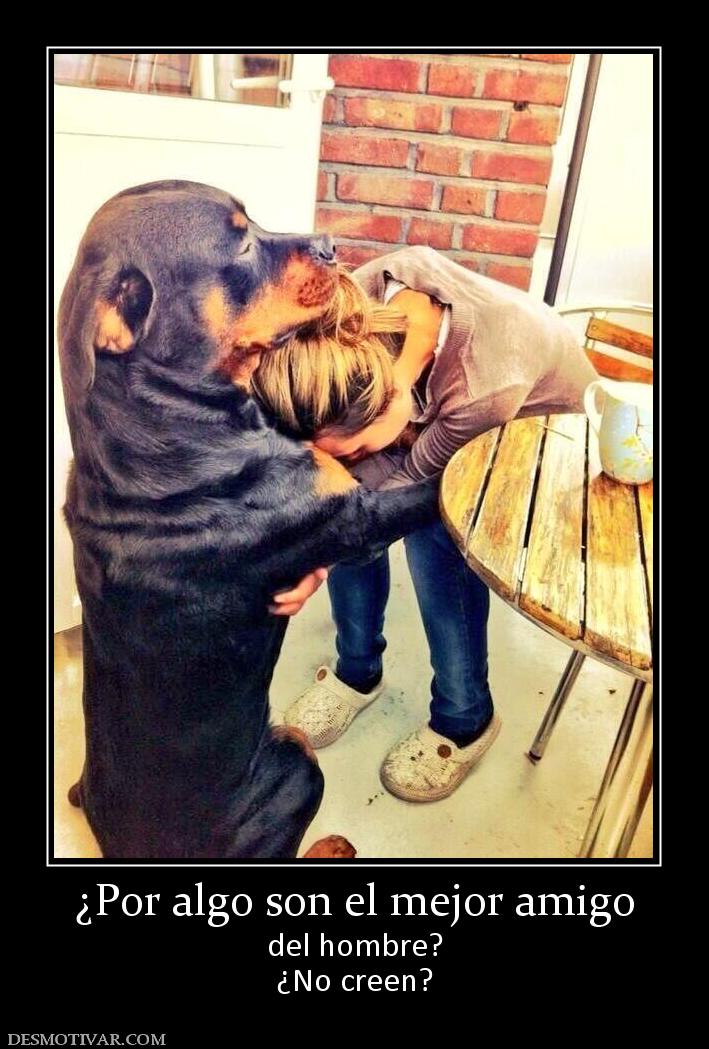 ¿Por algo son el mejor amigo del hombre? ¿No creen?